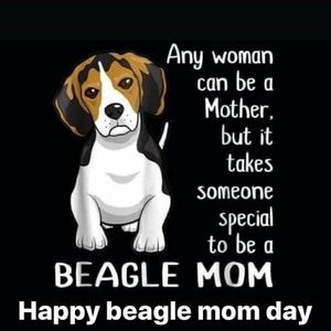 Meet your Posher, Peyton